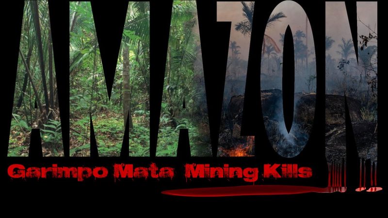 Garimpo Mata – Mining Kills